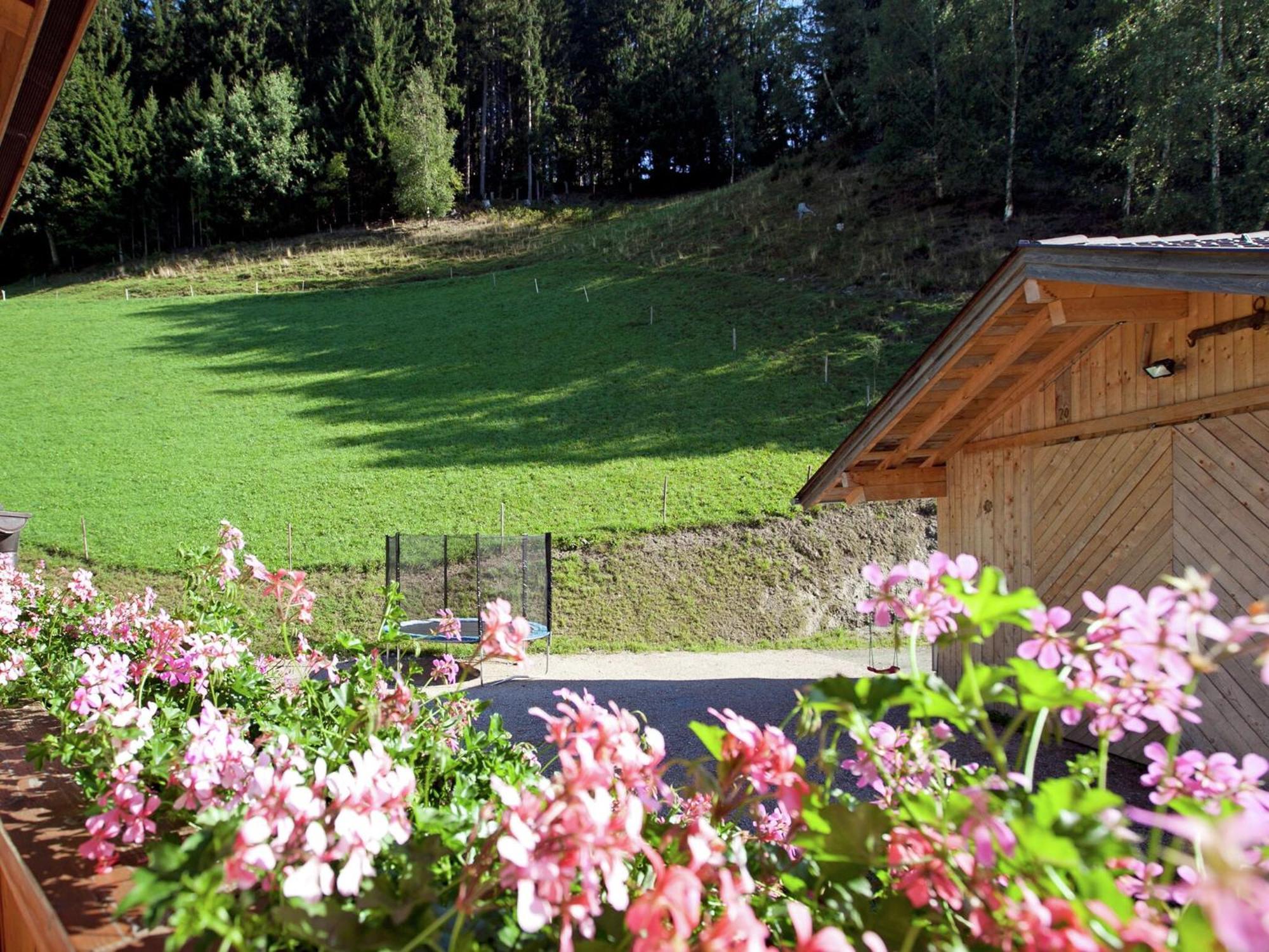 Appartment Roswitha Wagrain Exterior foto